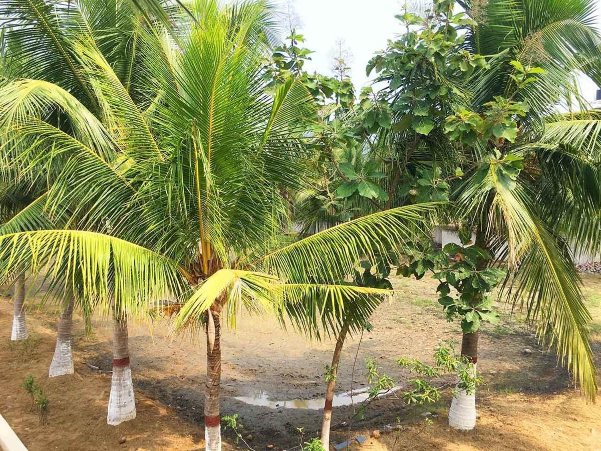 Olive - Spacious 7 Bhk Ac With 1 Acre Garden, Swimming Pool And Outdoor Games Farm stay *