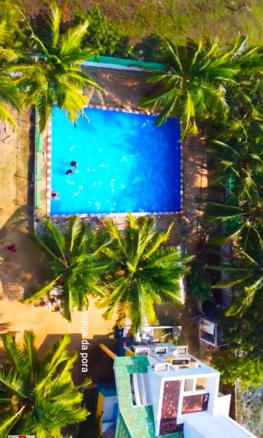 Olive - Spacious 7 Bhk Ac With 1 Acre Garden, Swimming Pool And Outdoor Games Farm stay Chennai